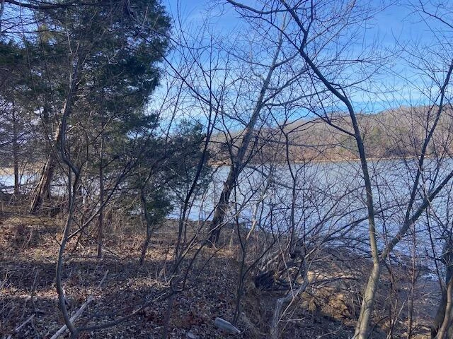 Lot 11 Waterway  Point - Photo 8
