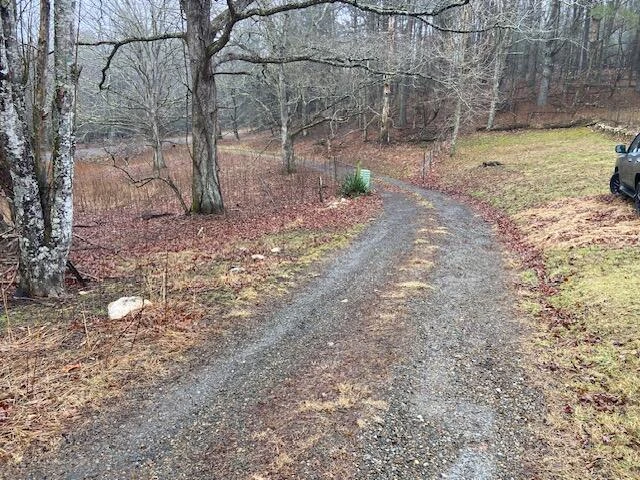 1512 Blue Ridge PKWY - Photo 5