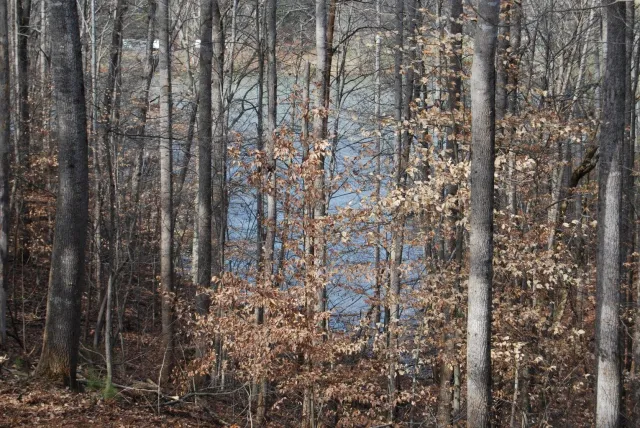 Lot 10 Lake Knoll RD, Union Hall, VA, 24176