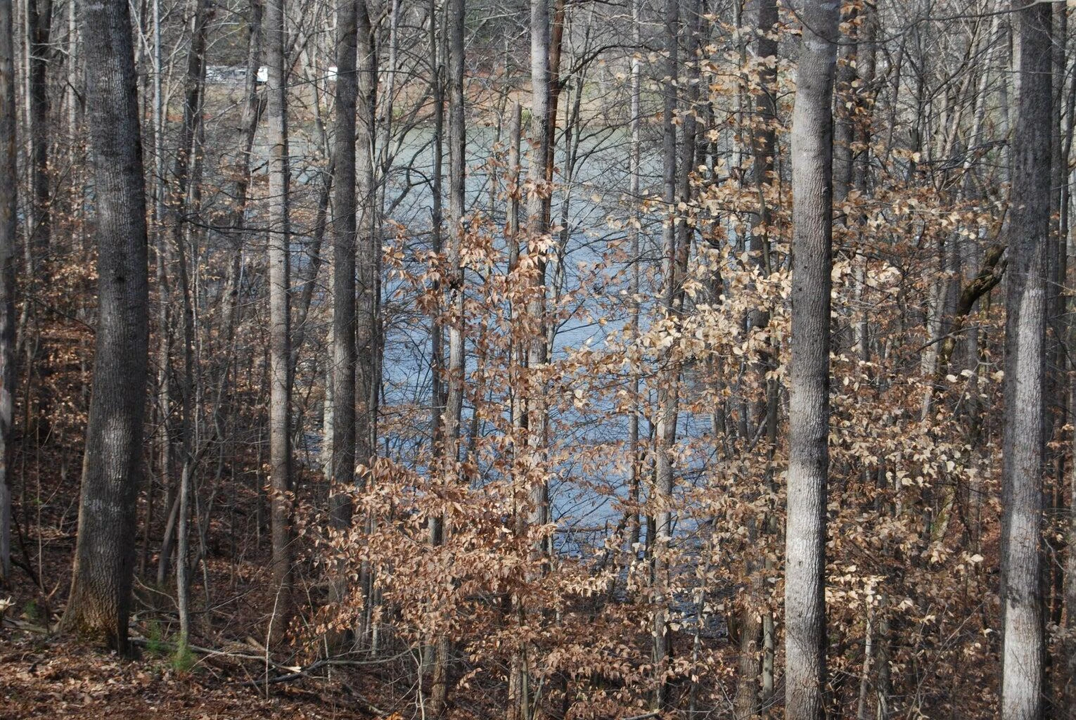 Lot 10 Lake Knoll RD