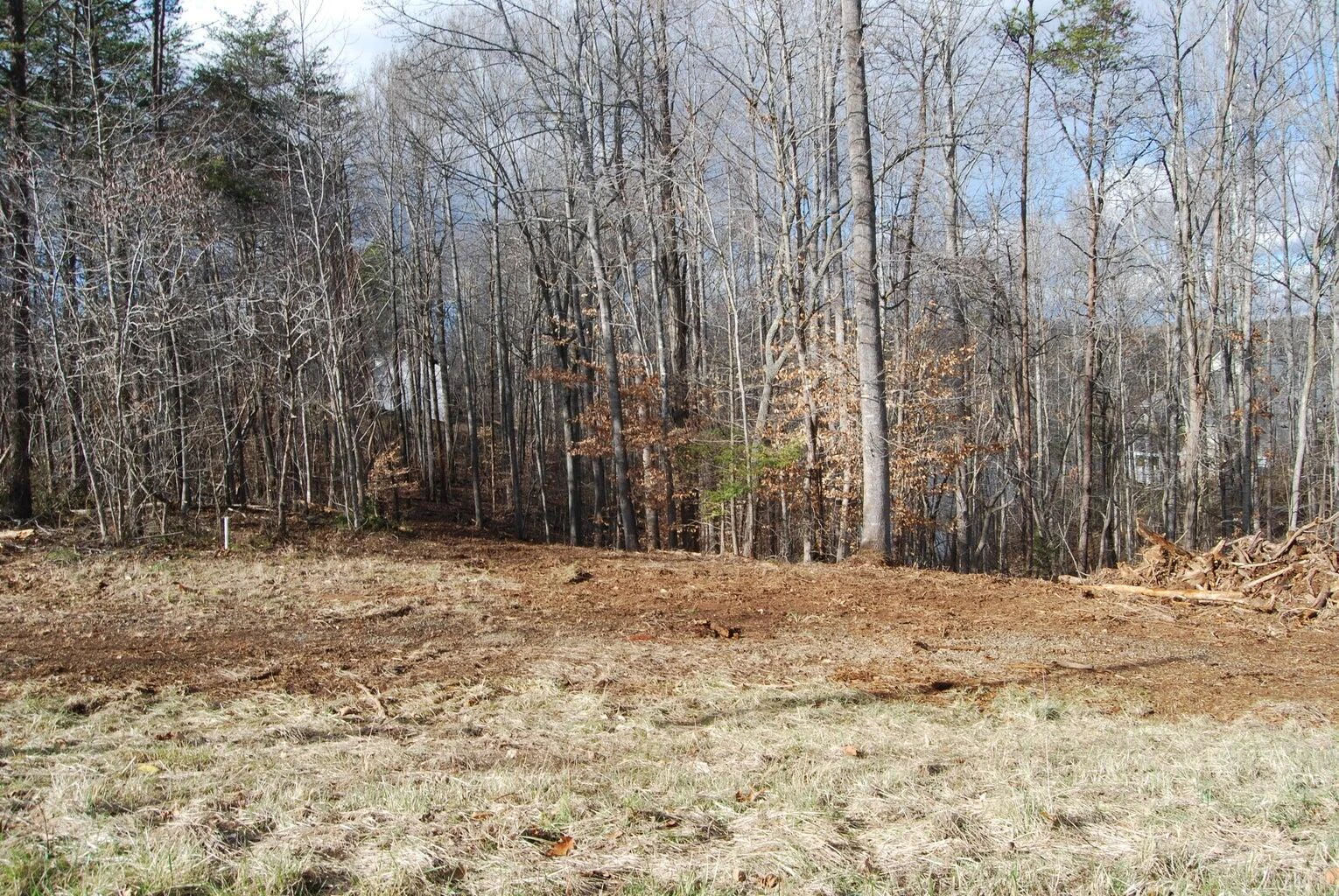 Lot 10 Lake Knoll RD - Photo 4