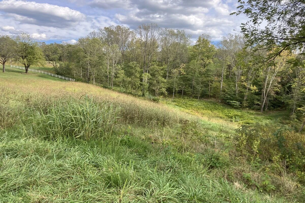 Lot 27 PLYBON LN - Photo 2