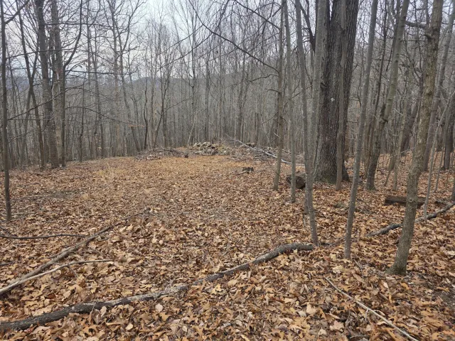 0 Hickory Falls RD, Blue Ridge, VA, 24064