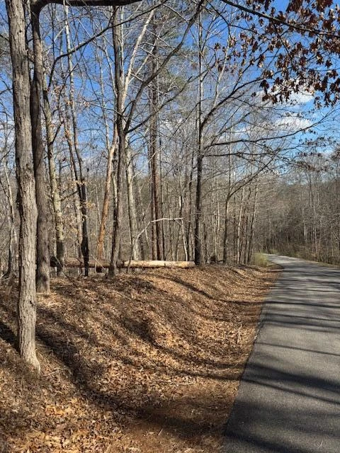 Lot 1 Gap Bridge RD