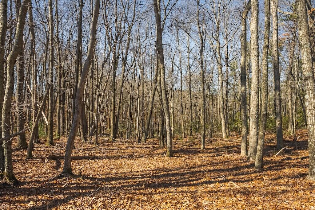 494 Soapstone Hill RD - Photo 57