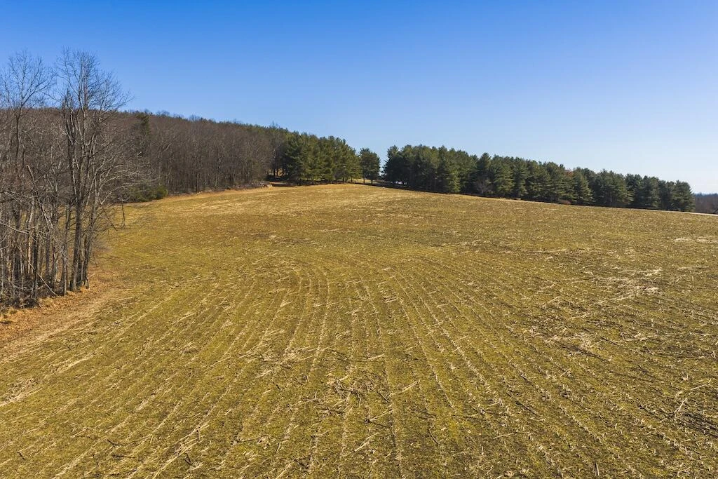 494 Soapstone Hill RD - Photo 66