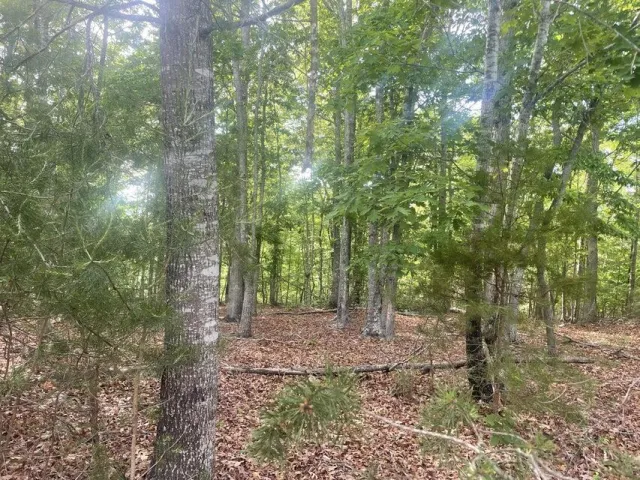 Lot 19 ROBIN RIDGE CT