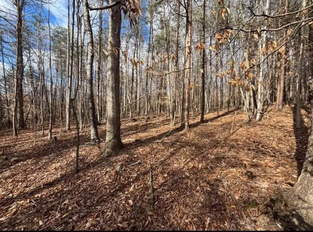 Lot 13 Tarragon WAY, Moneta, VA, 24121