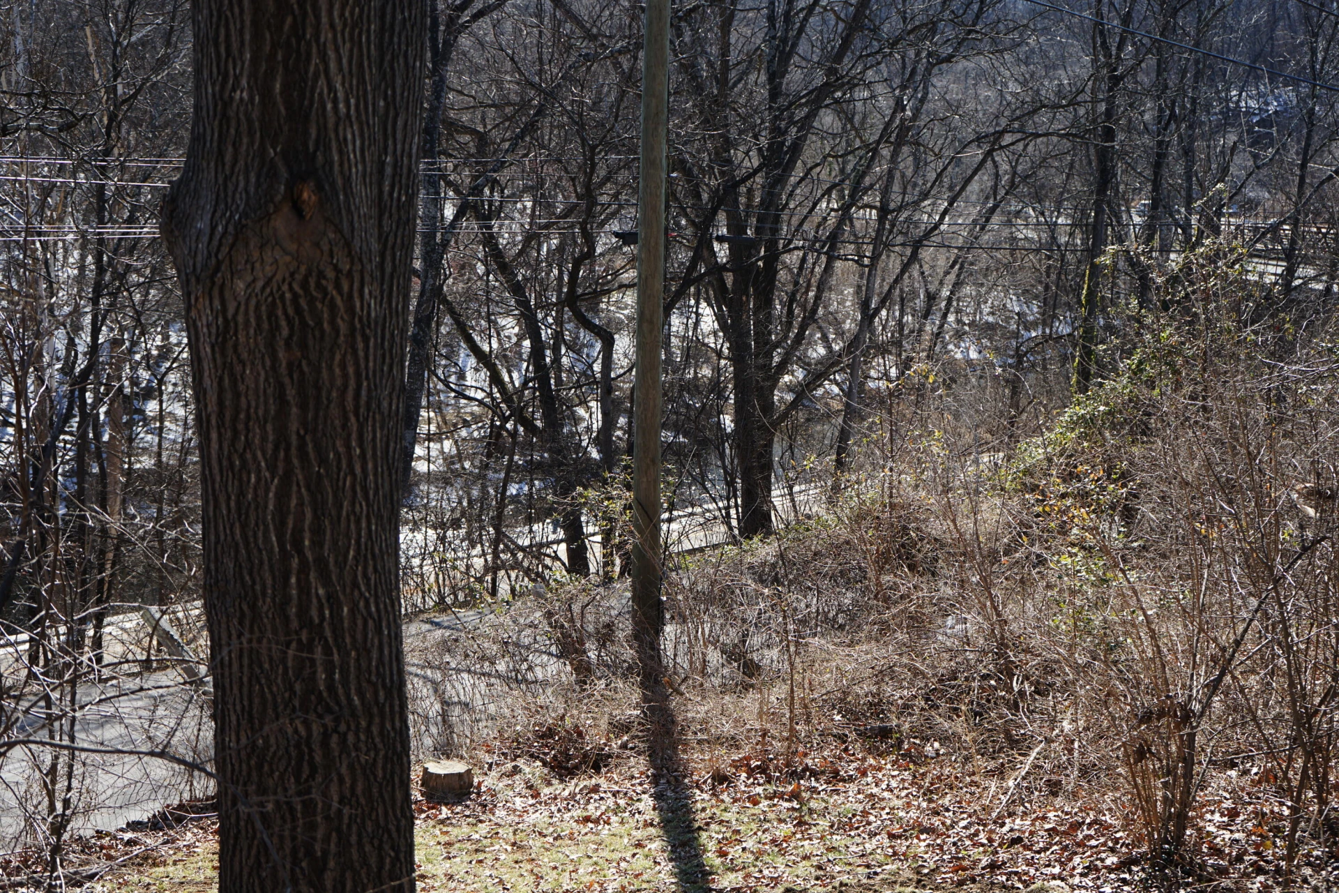 2230 Overlook RD - Photo 28