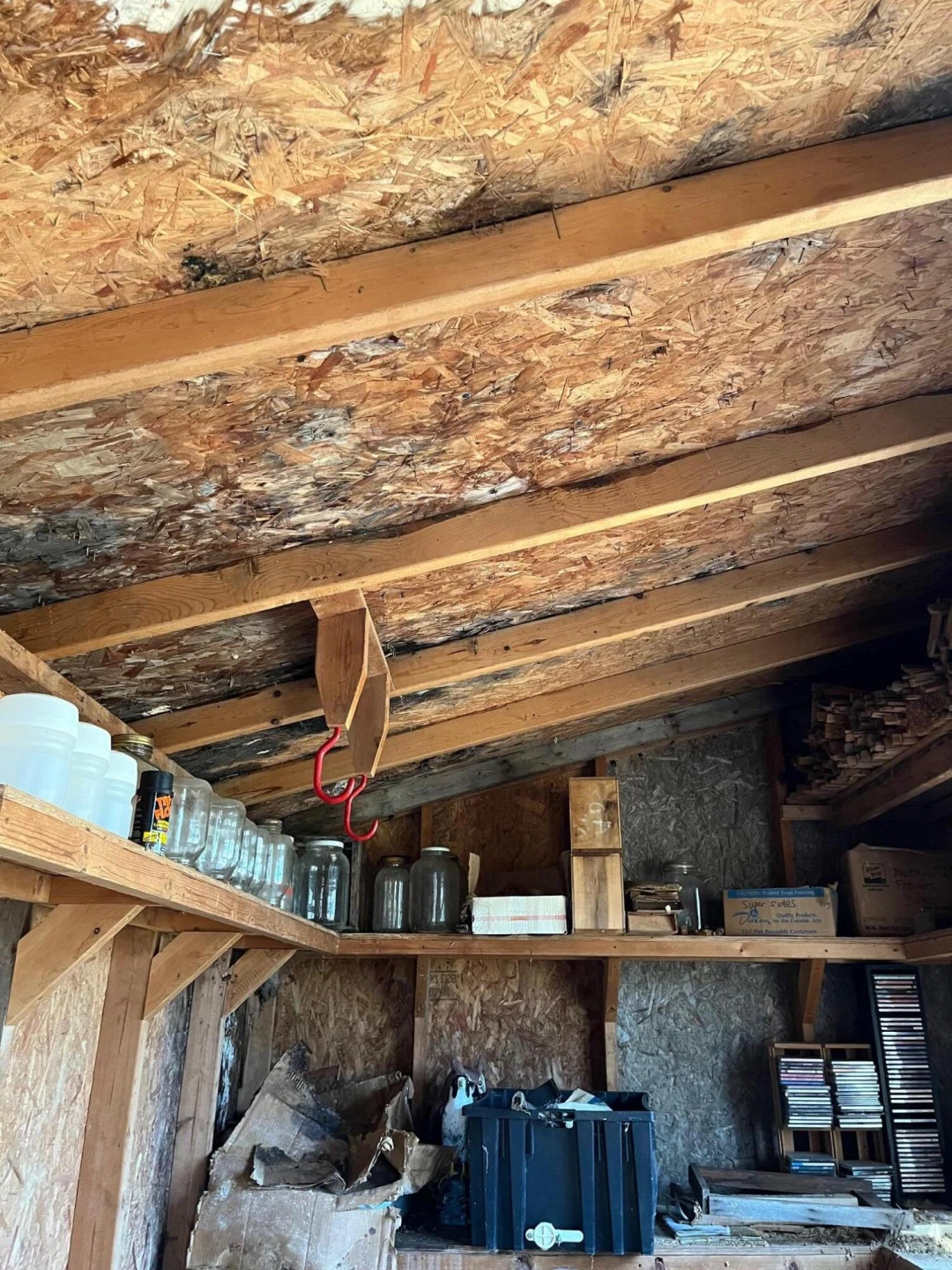 9737 Pine Forest RD - Photo 23