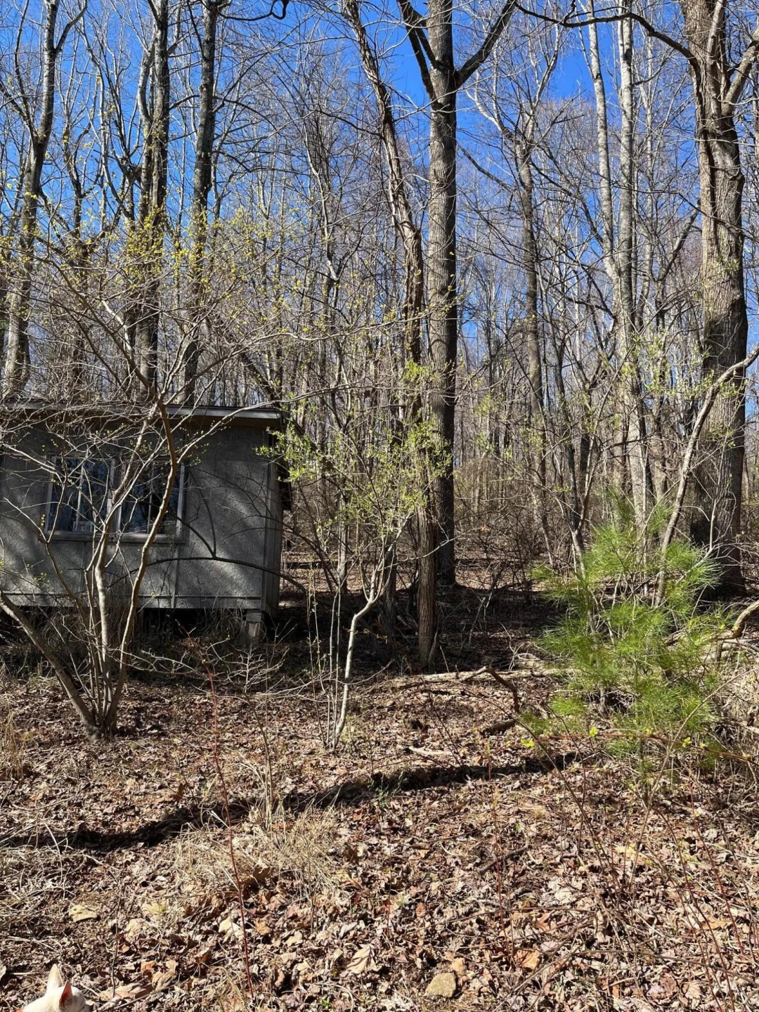9737 Pine Forest RD - Photo 25