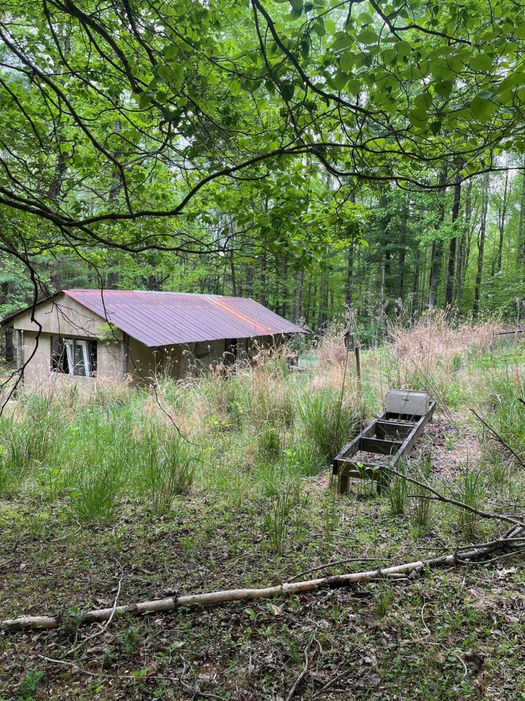 9737 Pine Forest RD - Photo 29