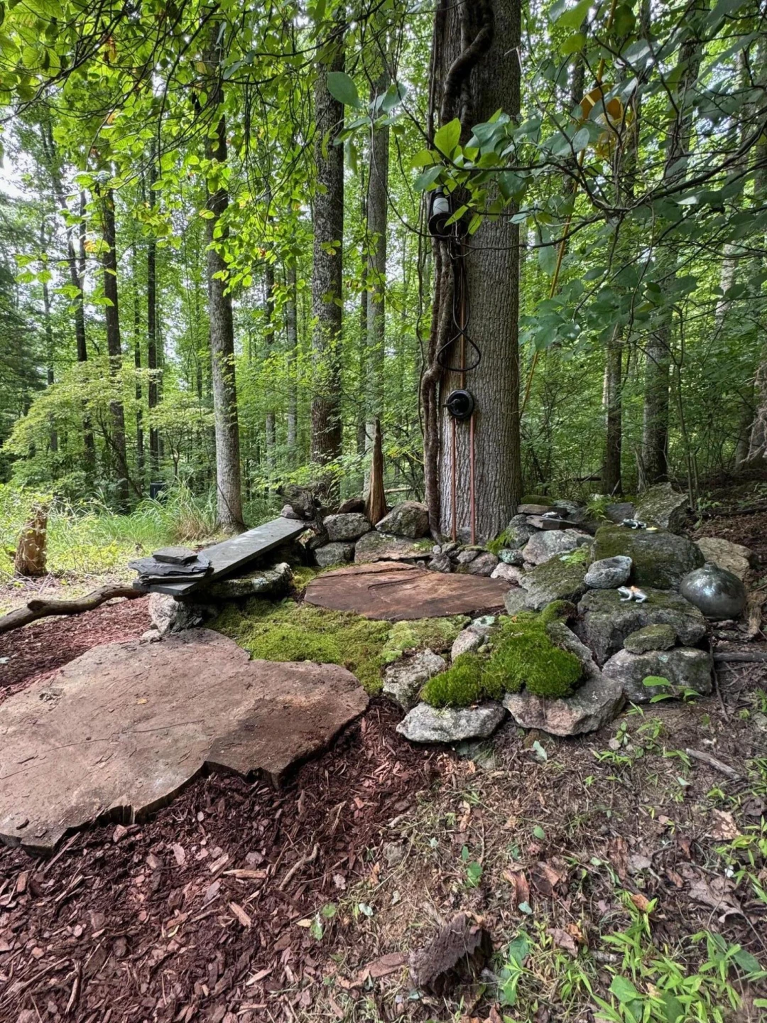 9737 Pine Forest RD - Photo 31