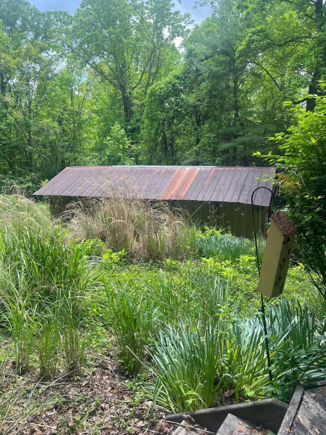 9737 Pine Forest RD - Photo 33
