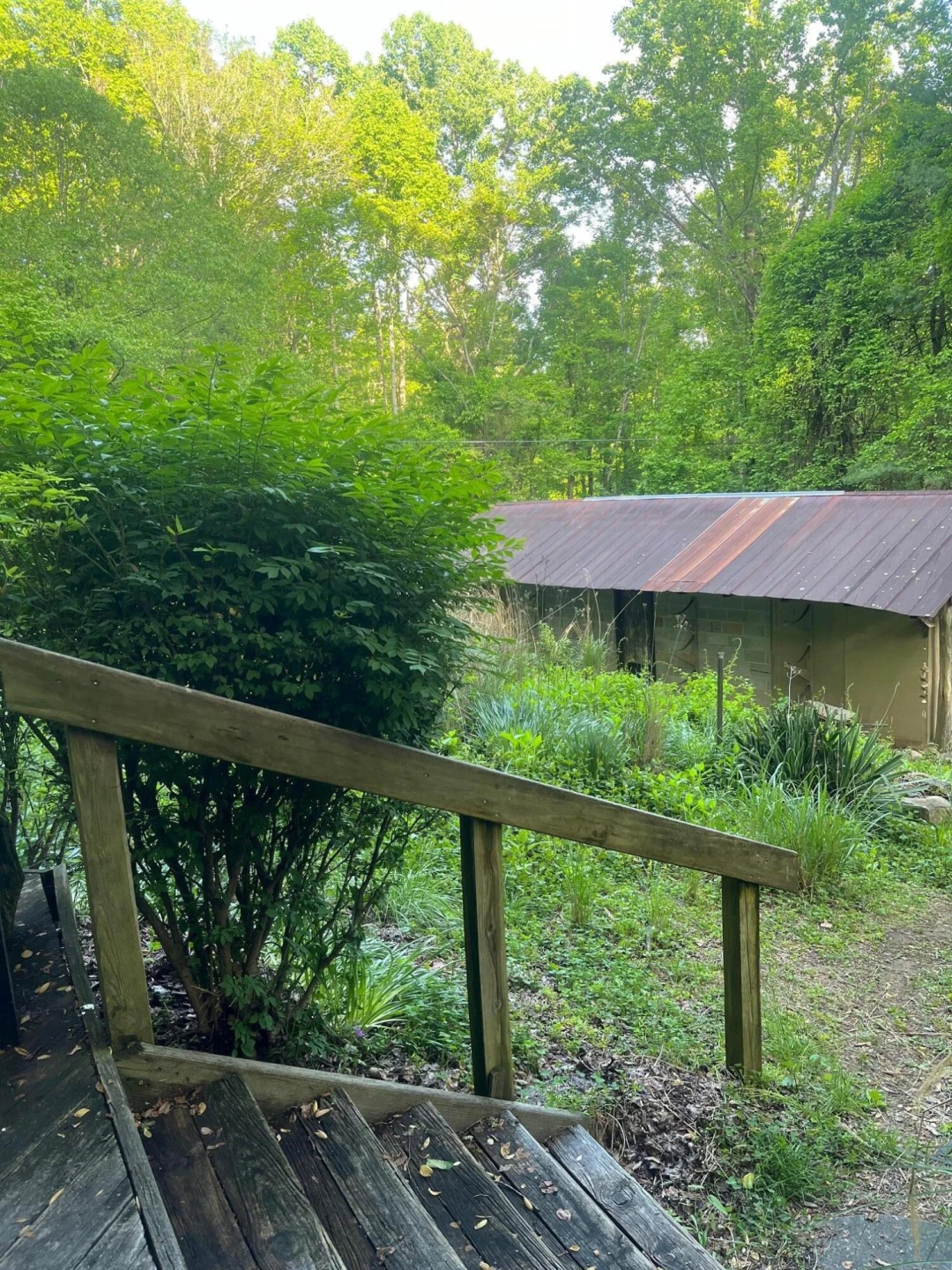 9737 Pine Forest RD - Photo 35