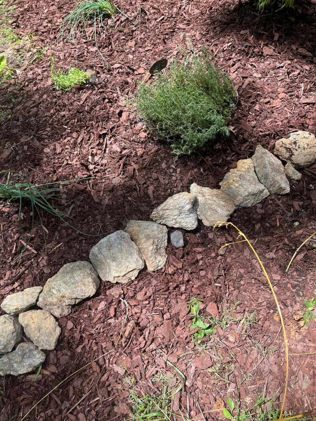 9737 Pine Forest RD - Photo 36