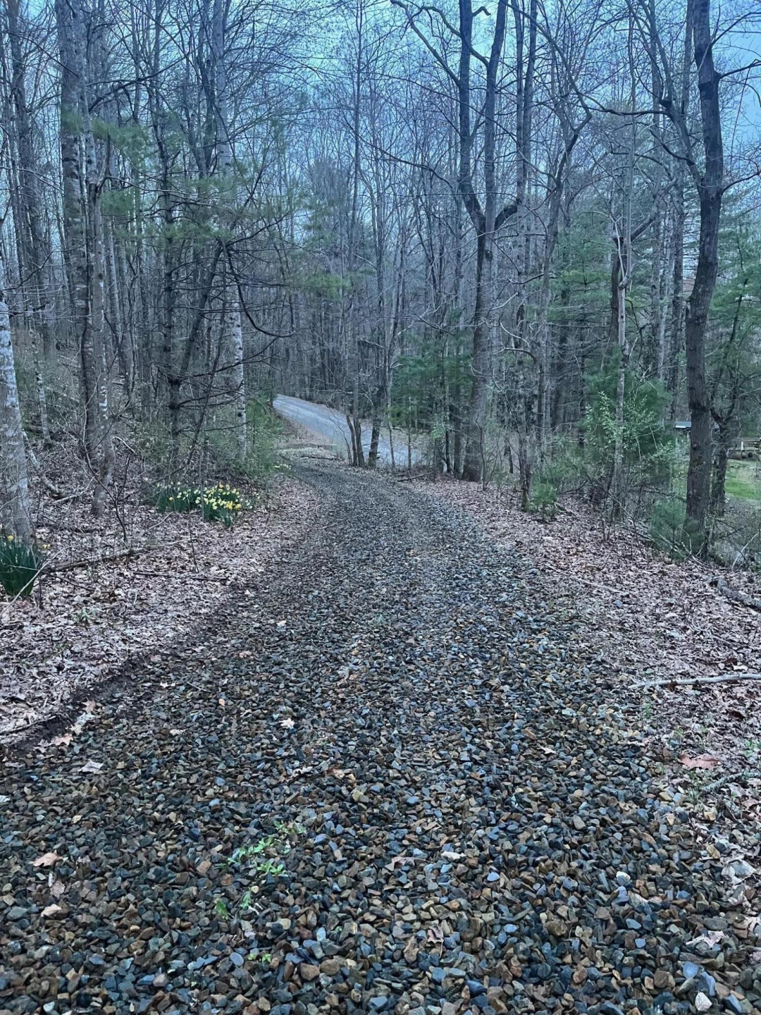 9737 Pine Forest RD - Photo 4