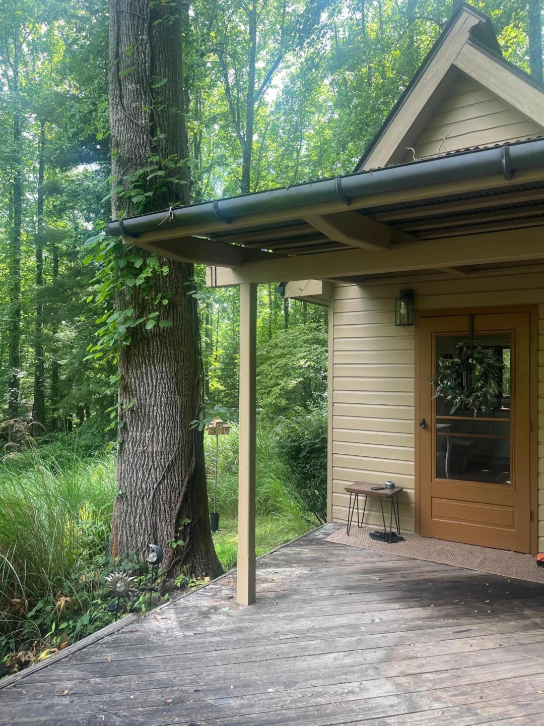 9737 Pine Forest RD - Photo 42