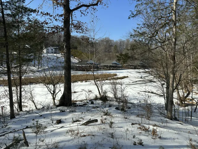 Lot 42 Lakewatch CIR, Moneta, VA, 24121