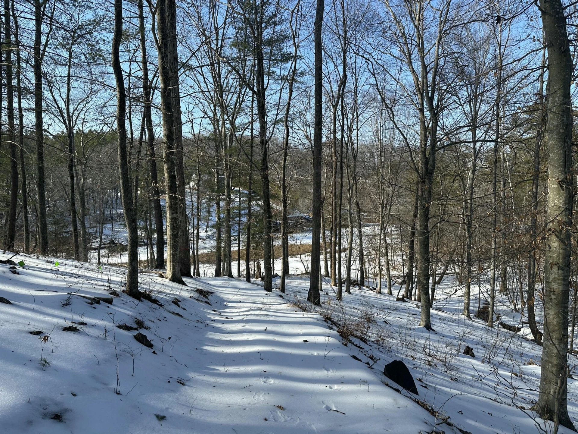 Lot 42 Lakewatch CIR - Photo 11