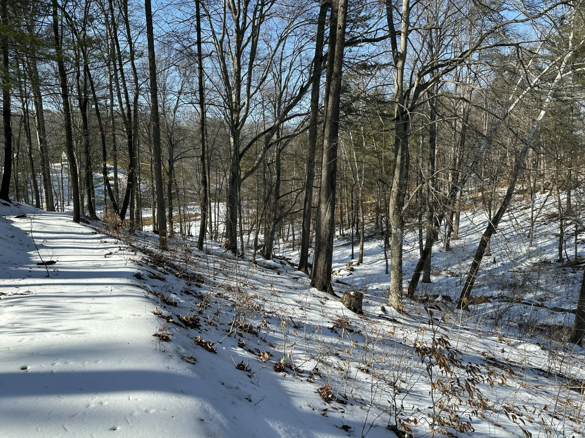 Lot 42 Lakewatch CIR - Photo 16