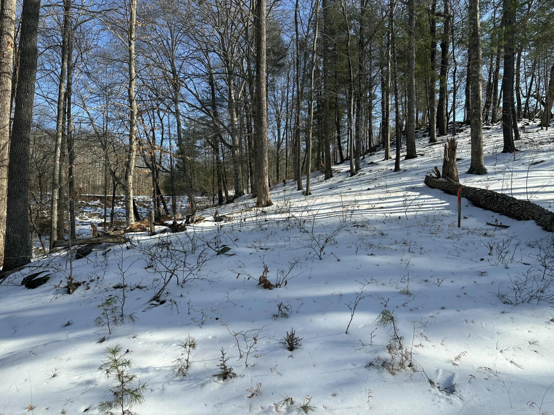 Lot 42 Lakewatch CIR - Photo 9