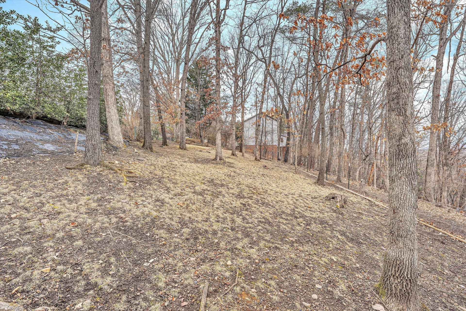 3808 Park LN - Photo 61