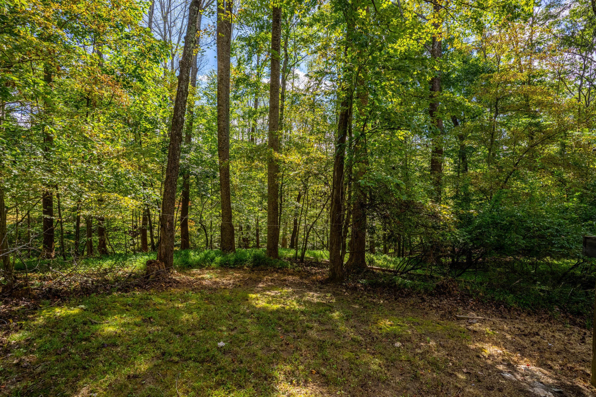 105 Whisperridge CT - Photo 21