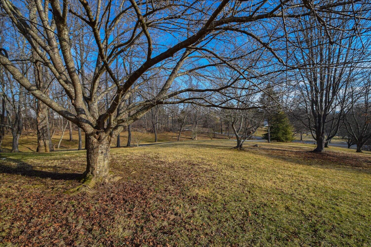 146 Hill DR - Photo 80
