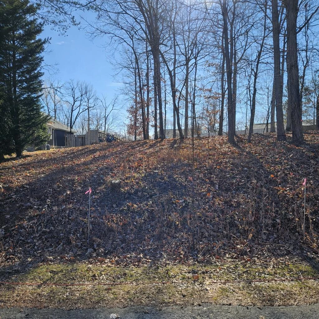 Lot 59 Macgregor DR - Photo 2