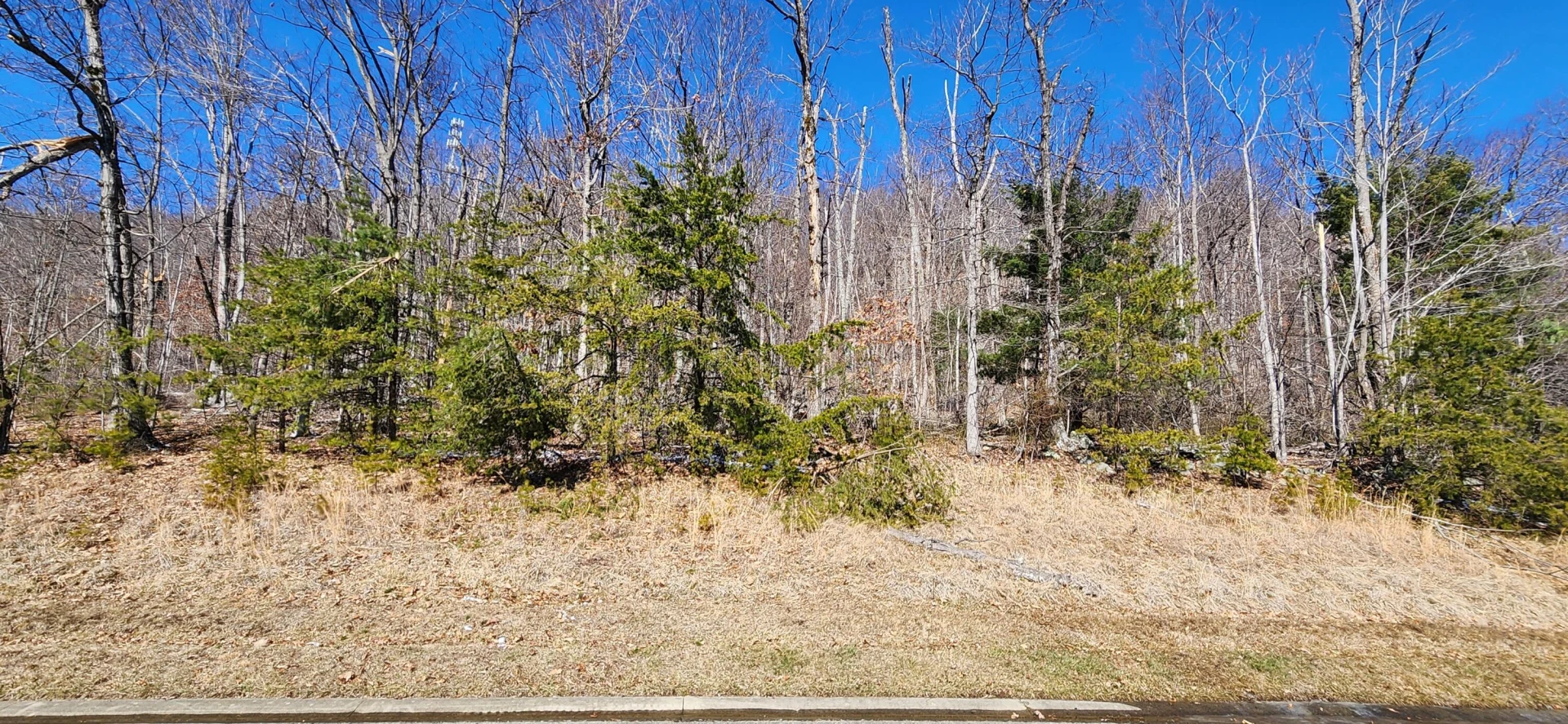 Lot 19 Summit DR