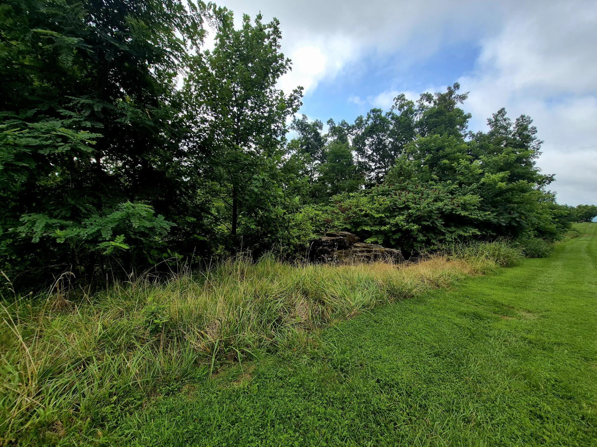 38 Summit DR - Photo 7
