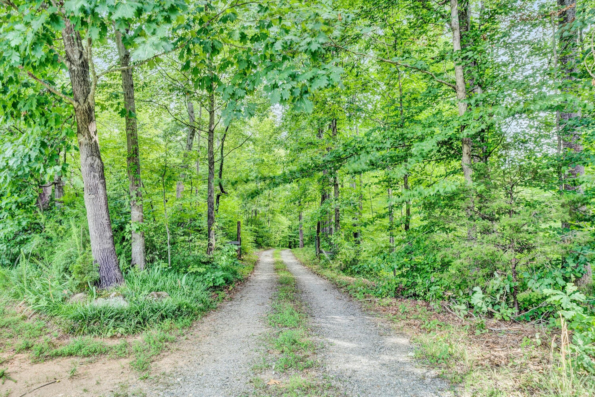 11289 SONTAG RD - Photo 5