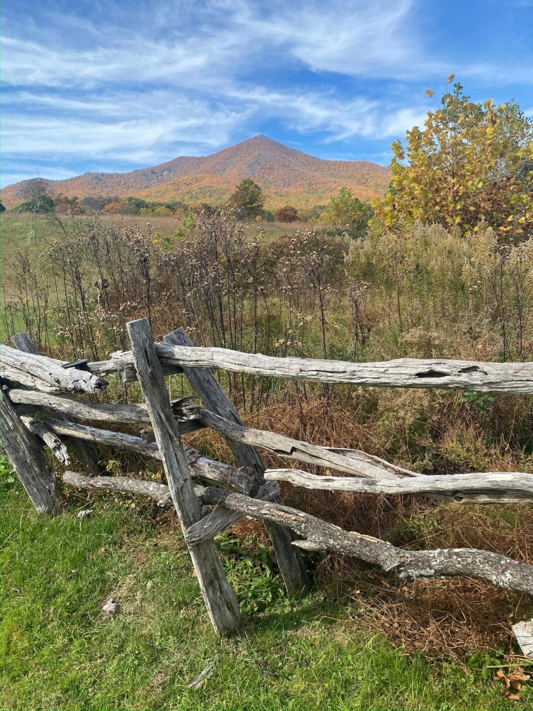 7392 Peaks RD - Photo 19