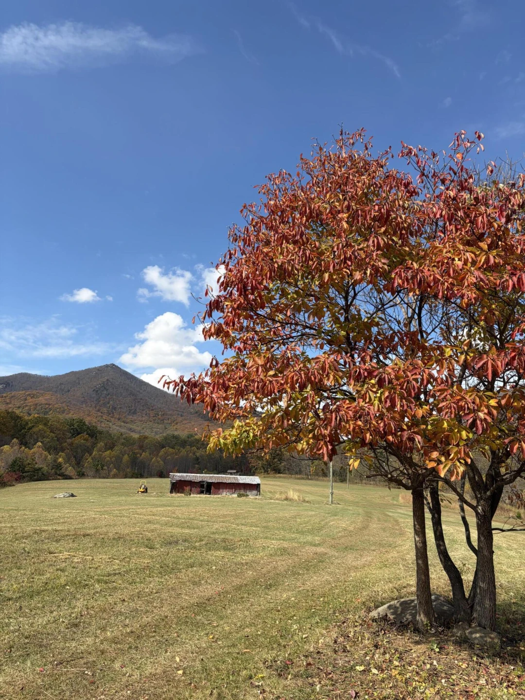 7392 Peaks RD - Photo 22