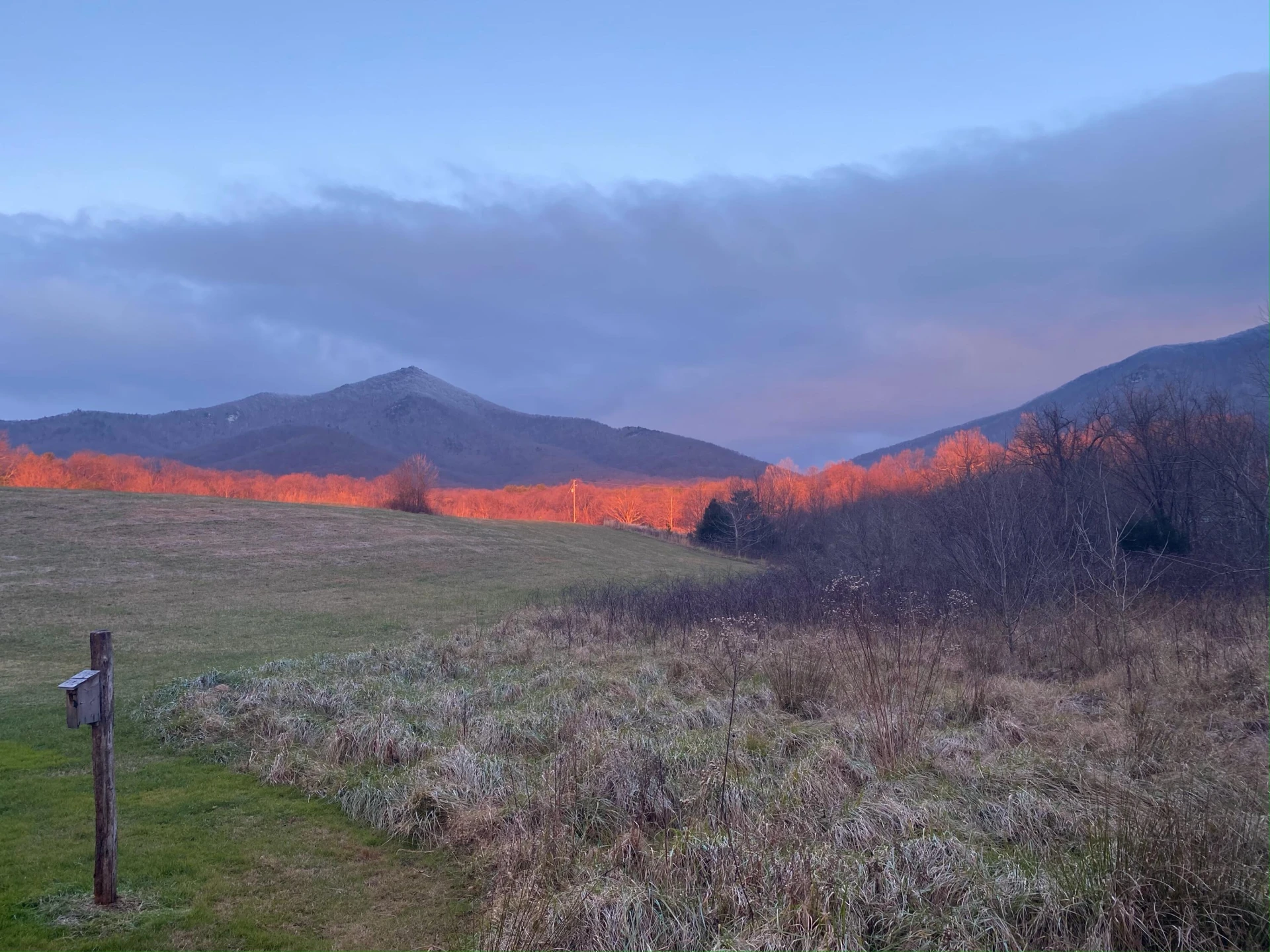 7392 Peaks RD - Photo 23