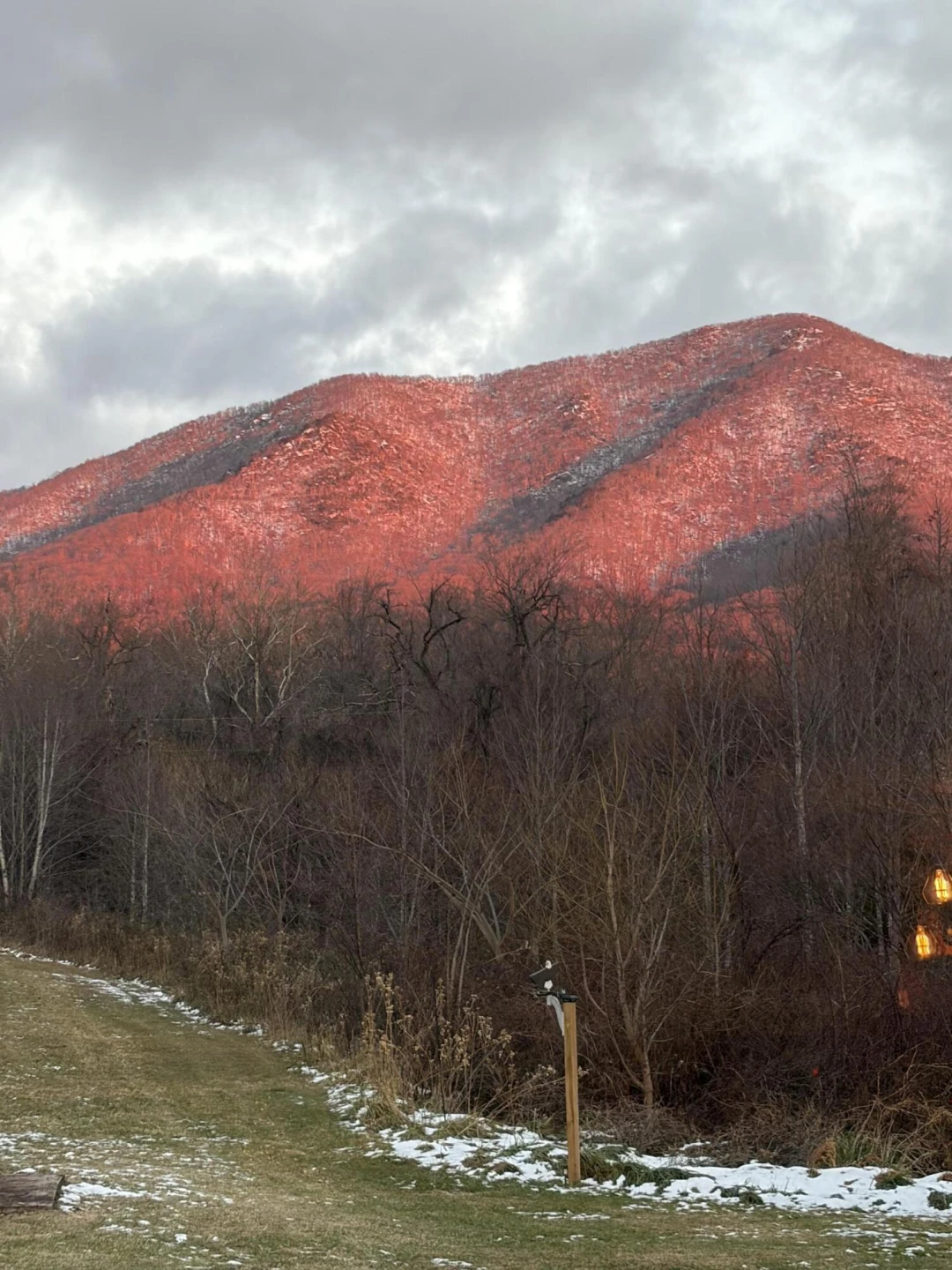 7392 Peaks RD - Photo 24