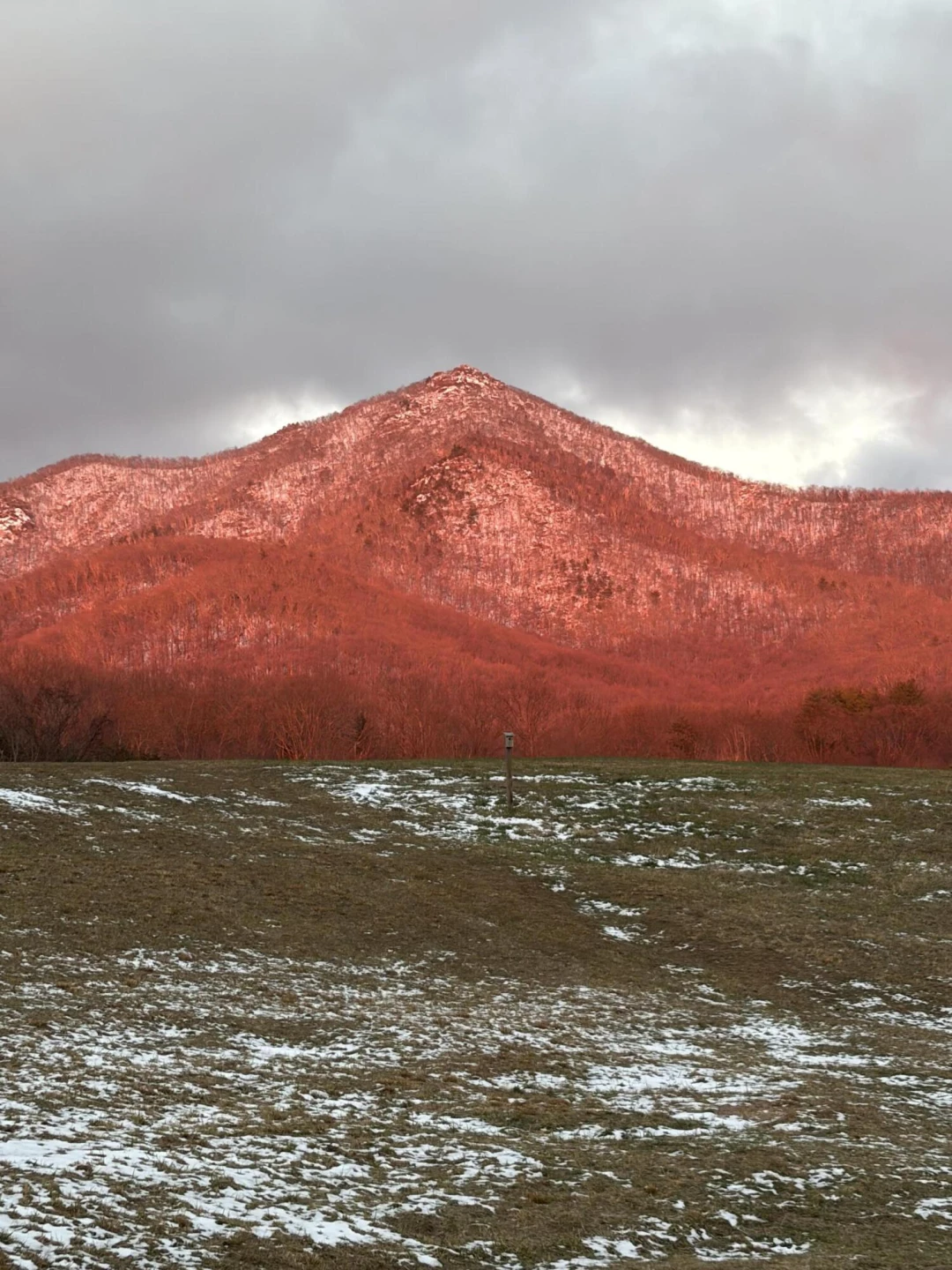 7392 Peaks RD - Photo 25