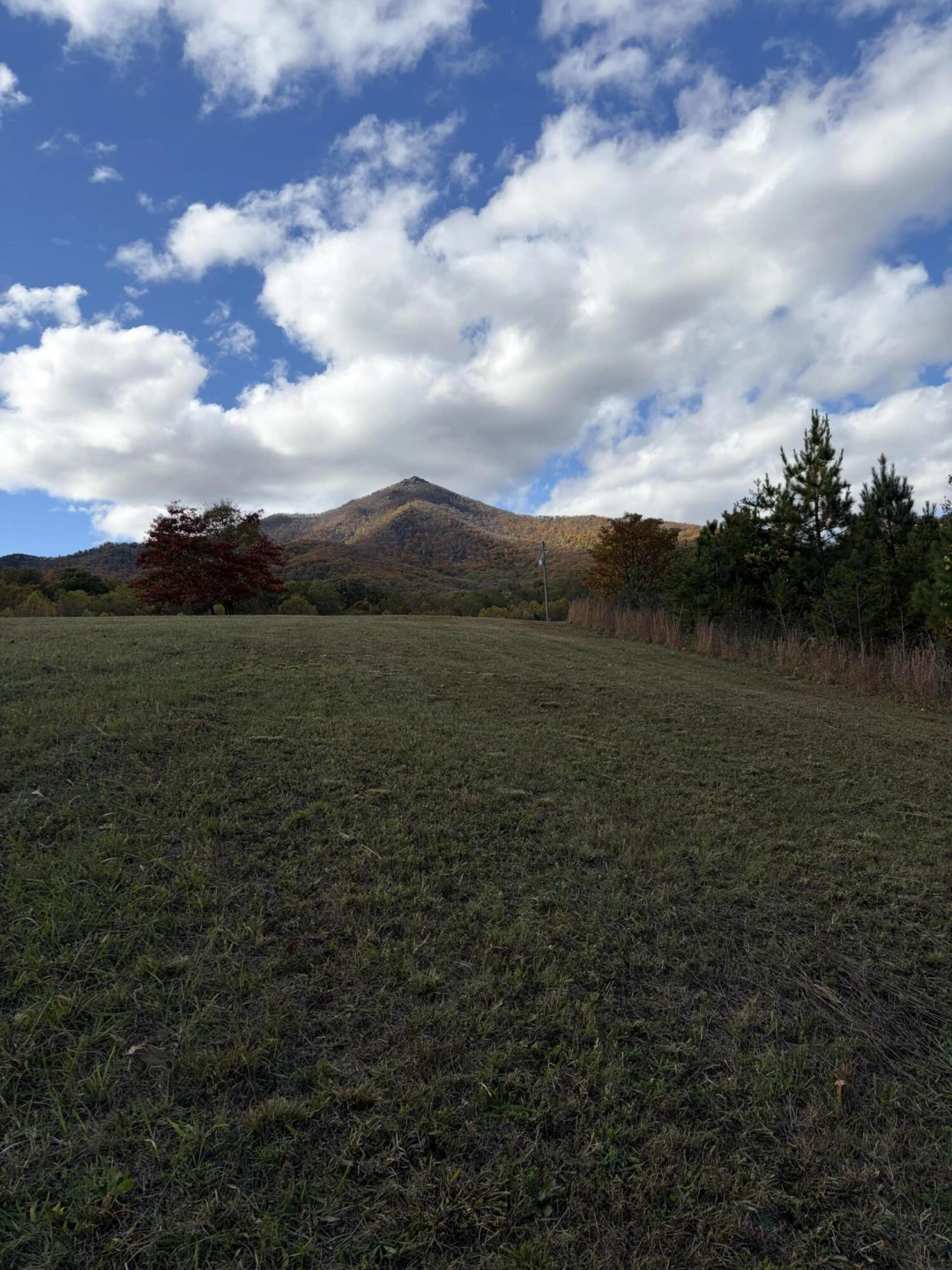 7392 Peaks RD - Photo 26