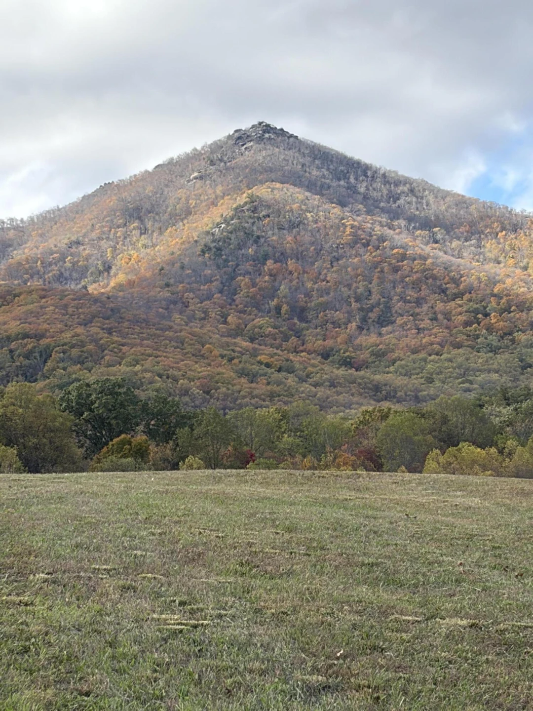 7392 Peaks RD - Photo 27