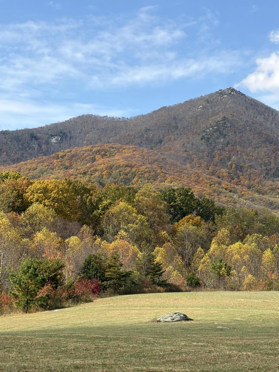 7392 Peaks RD - Photo 29