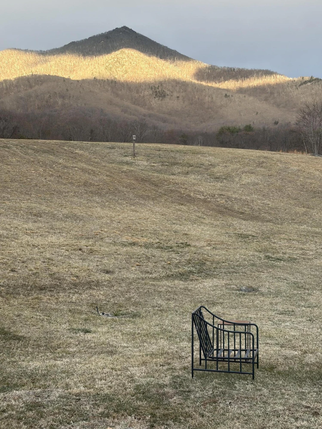 7392 Peaks RD - Photo 30