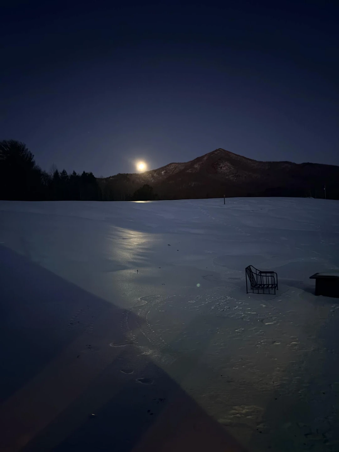 7392 Peaks RD - Photo 31