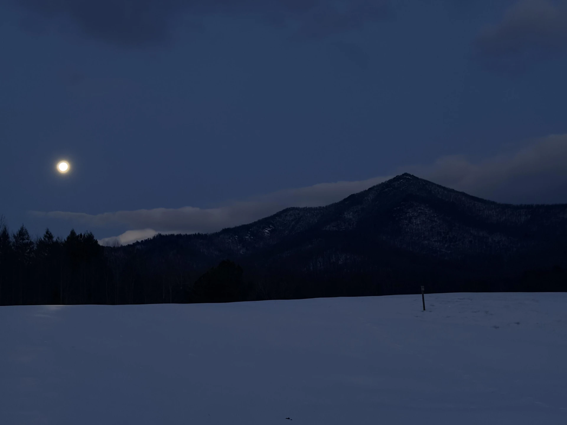 7392 Peaks RD - Photo 32