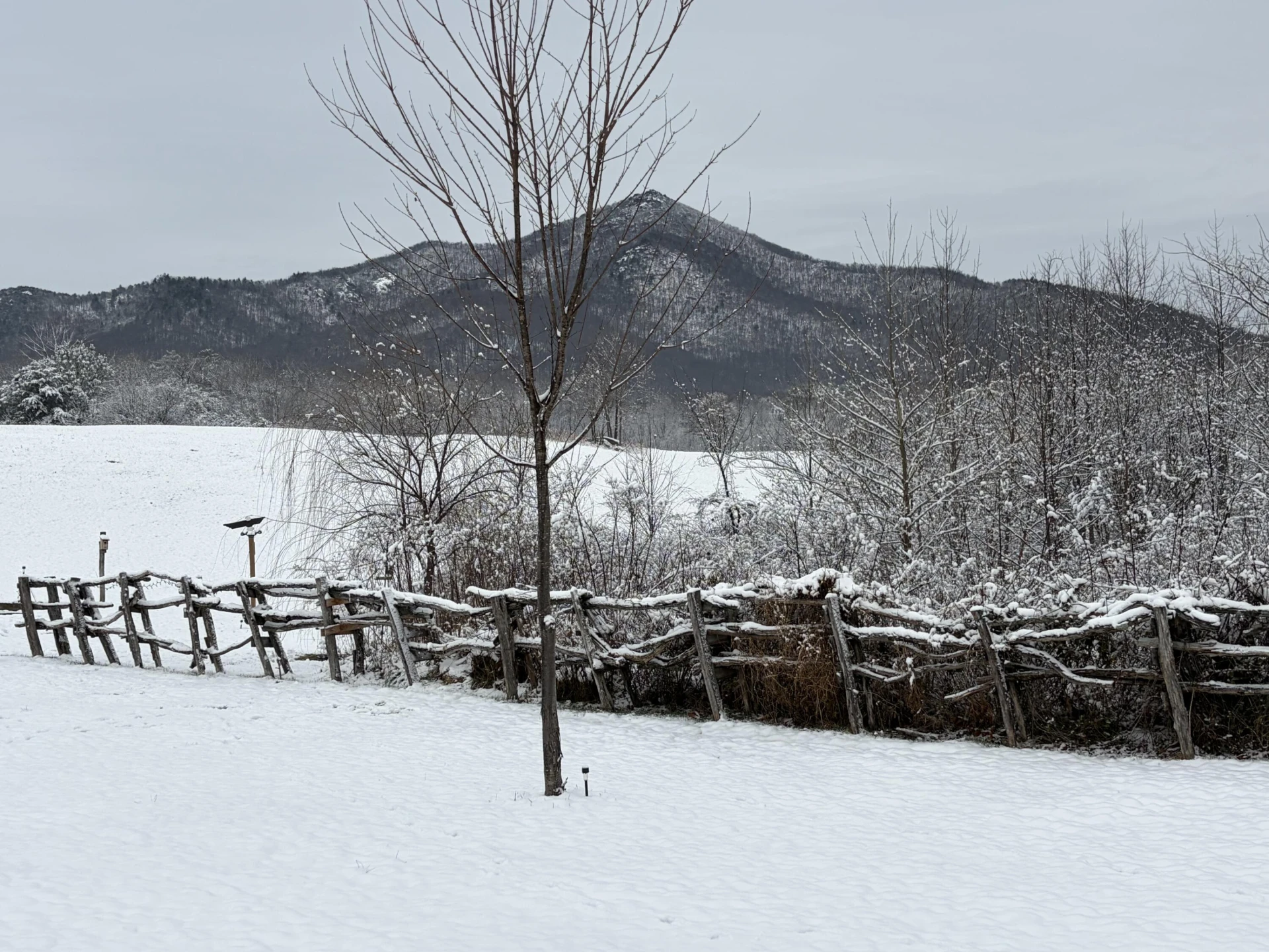 7392 Peaks RD - Photo 33