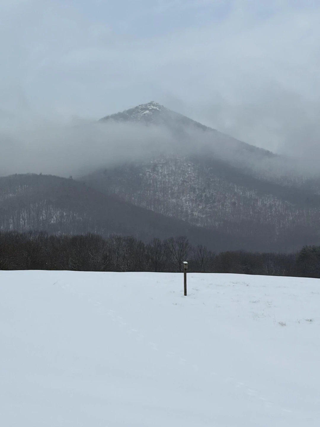 7392 Peaks RD - Photo 35