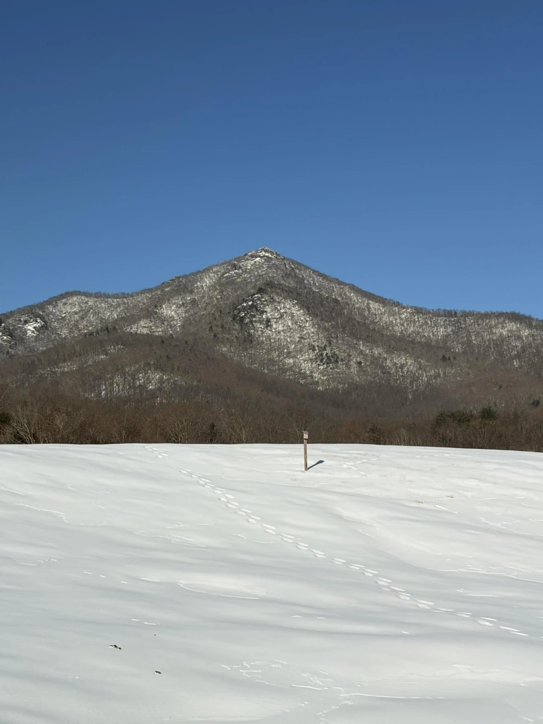 7392 Peaks RD - Photo 36