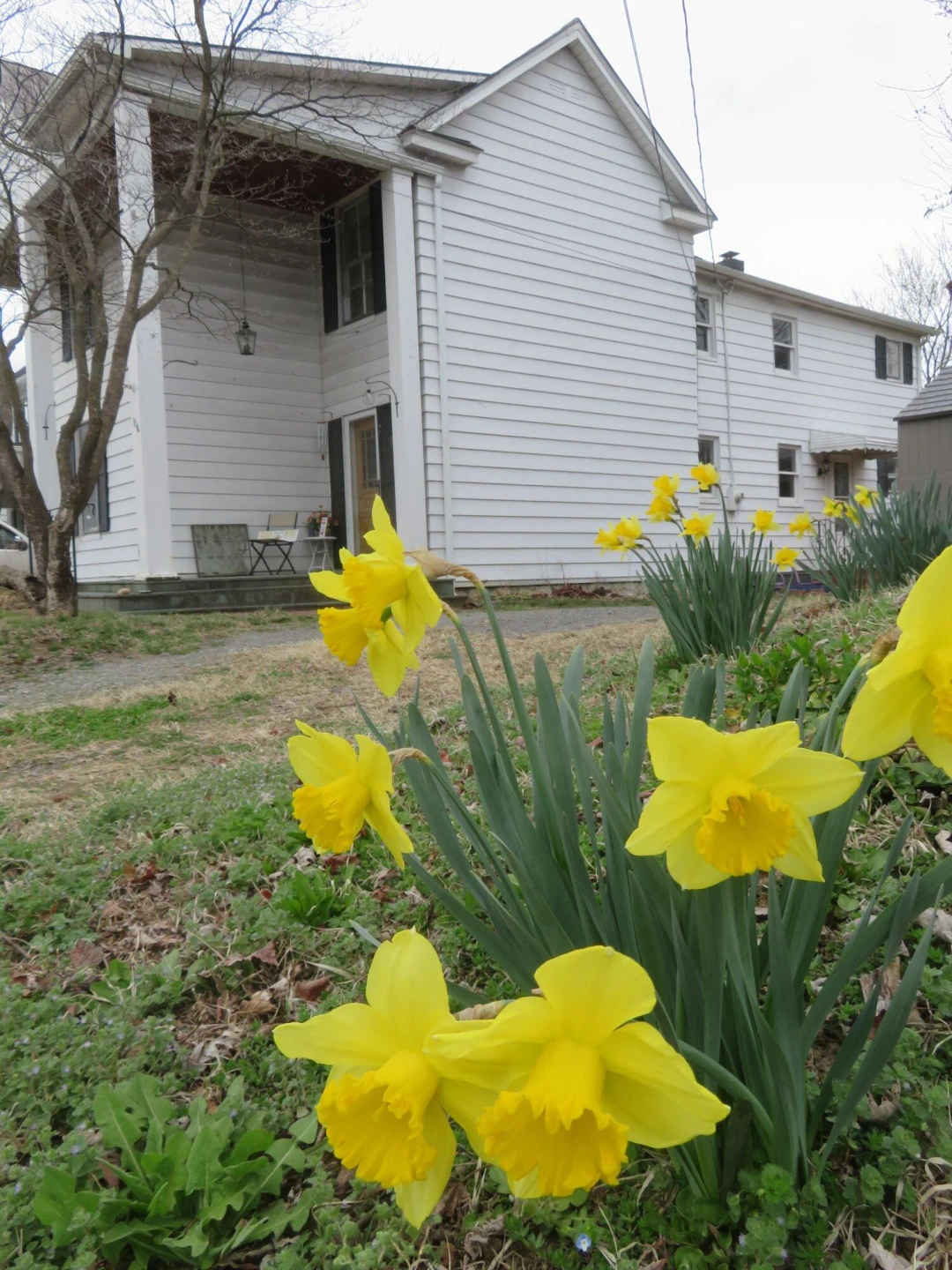 116 Cedar AVE - Photo 34