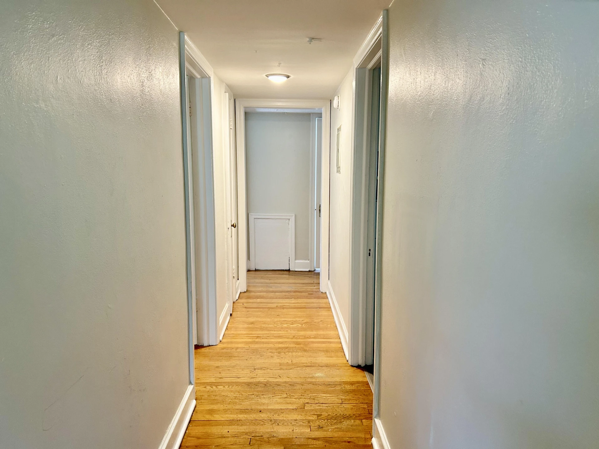 2703 Broad ST - Photo 43