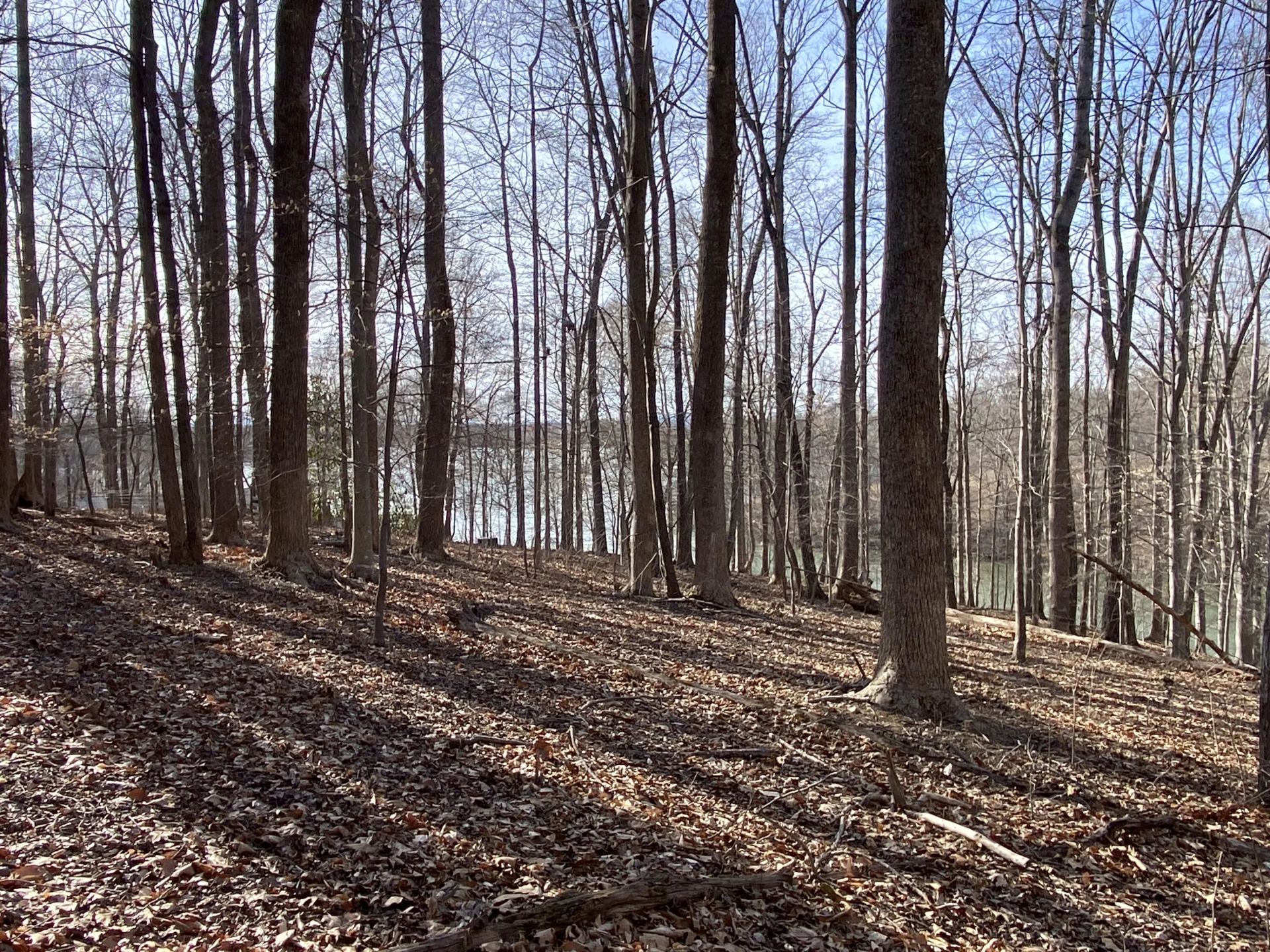 LOT 6 CLEARWATER DR - Photo 3